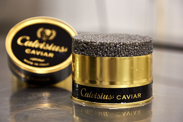 Calvisuis Caviar