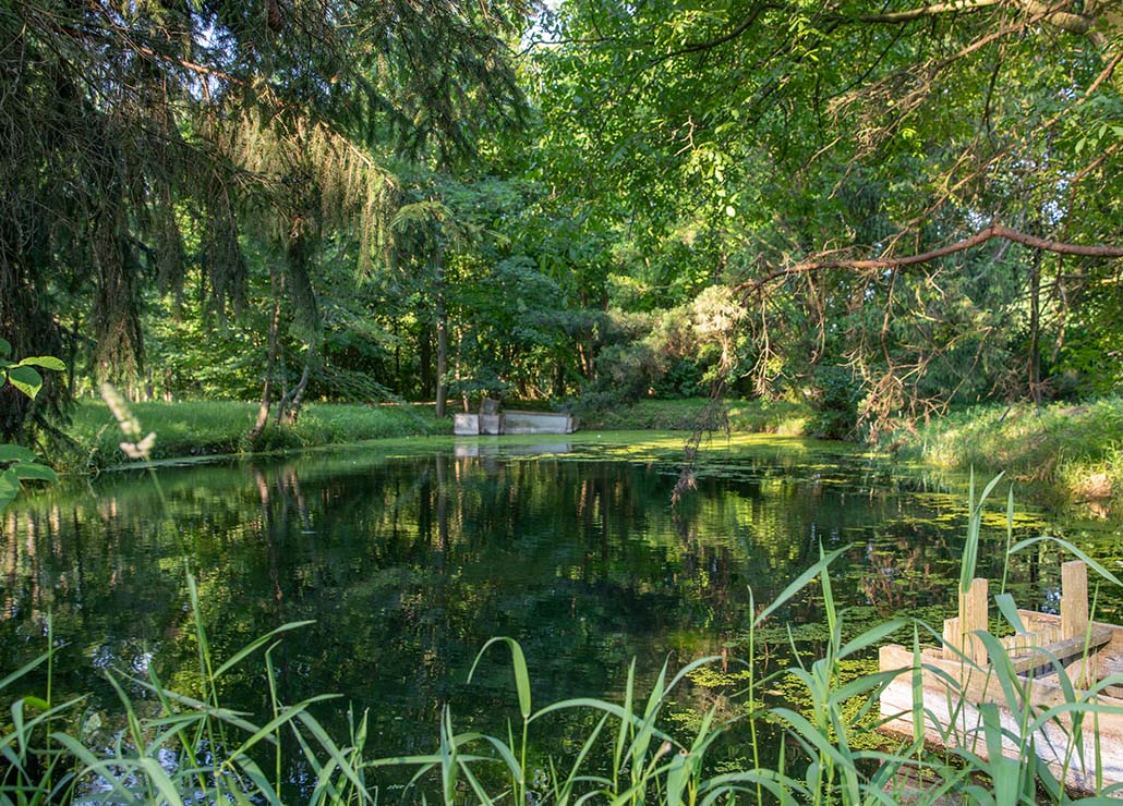 Natur-Teichwirtschaft Radlberg