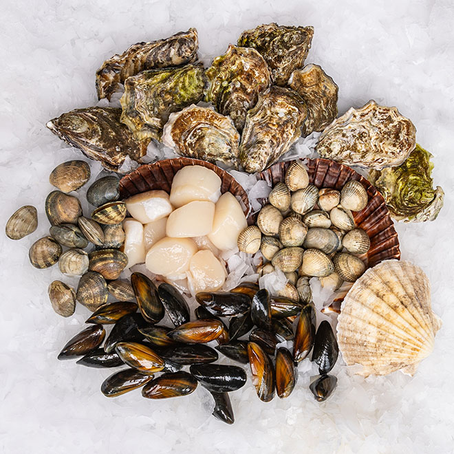 Krustentiere und Muscheln